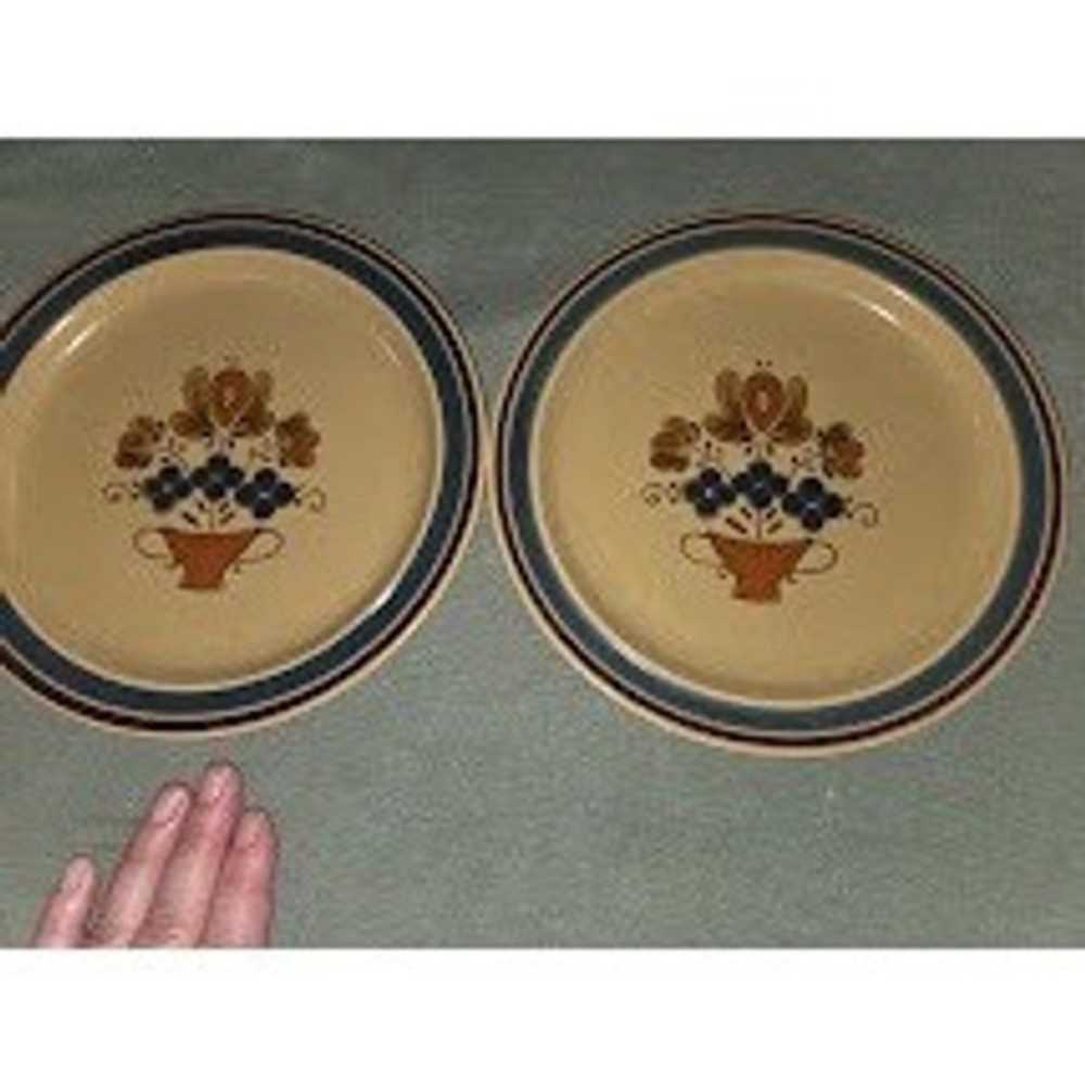 Newcor Stoneware Coronet 169 Dinner Plates Set of 2 Japan Floral Blue Tan 9.25"